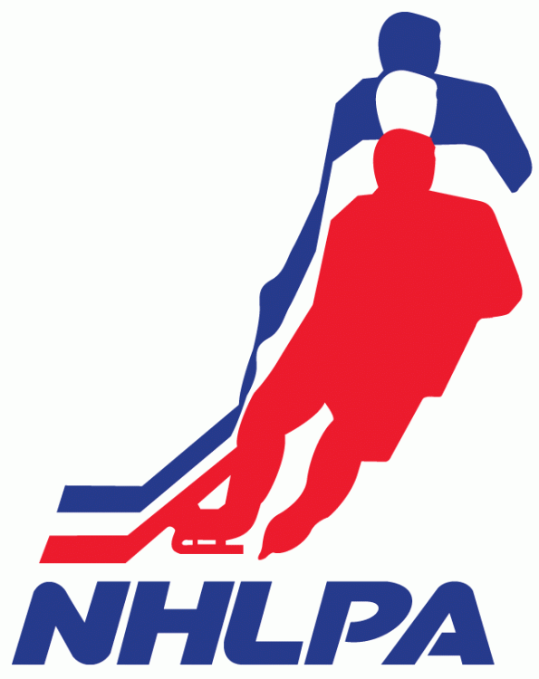 NHLPA 1971-2013 Primary Logo DIY iron on transfer (heat transfer)
